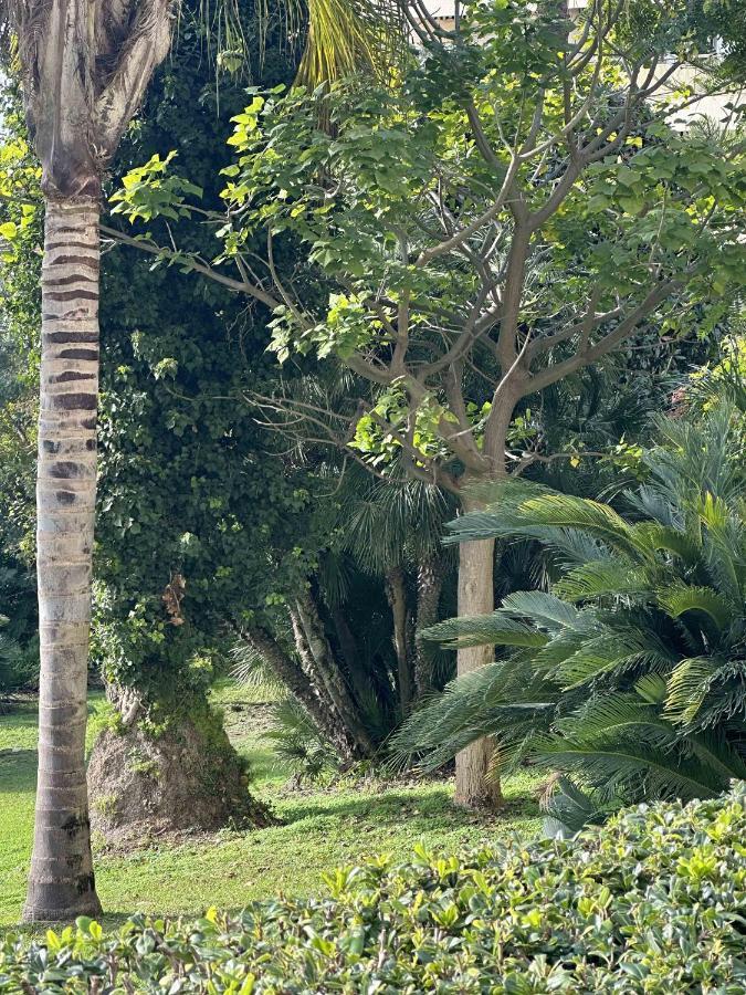 Cannes Studio Situe Dans La Residence Gallia Historique Exterior foto